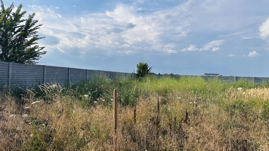 carousel-thumb-2