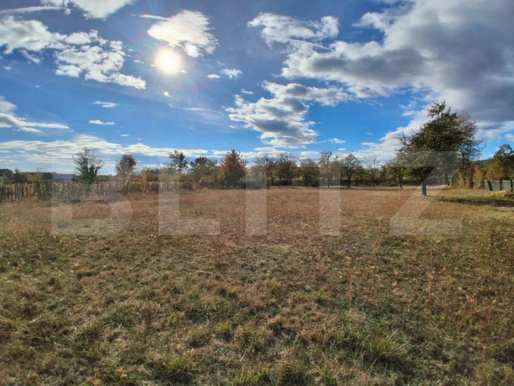 carousel-thumb-0