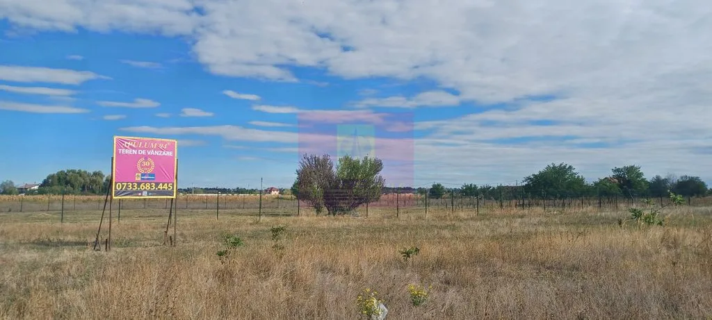 carousel-thumb-2